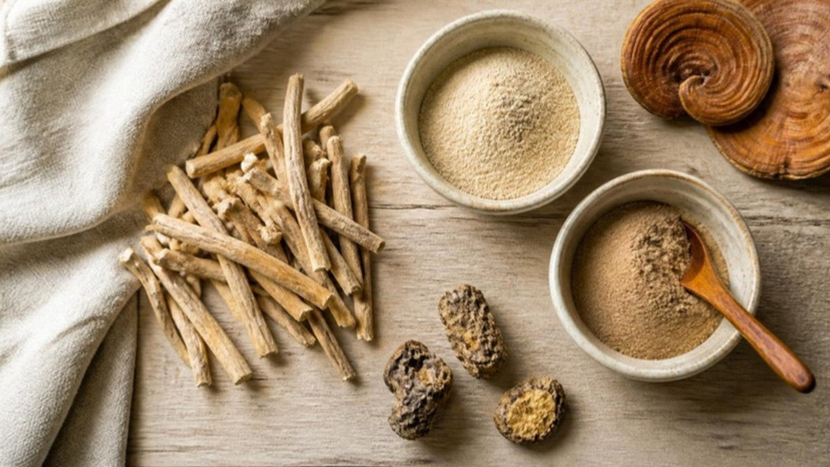 Getrocknete Ashwagandha-Wurzeln und Schalen mit Pflanzenpulver auf einem Holztisch