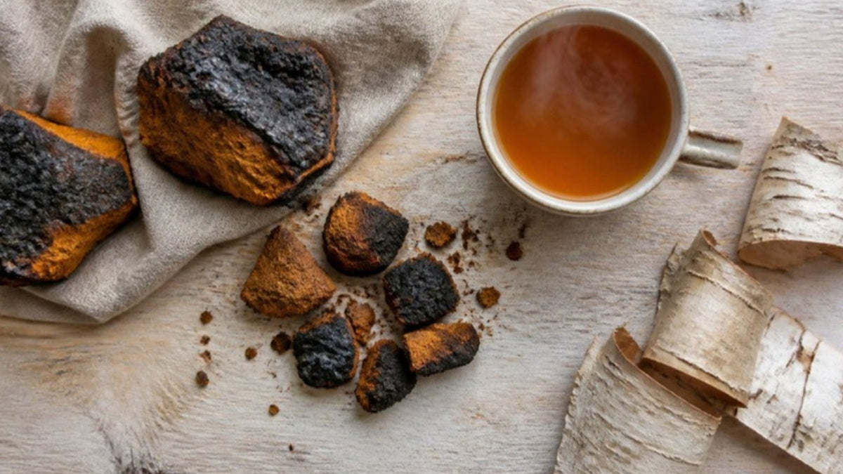 Chaga-Stücke mit schwarzer Kruste und rostbraunem Inneren neben einer Tasse Chaga-Tee auf einem Holztisch