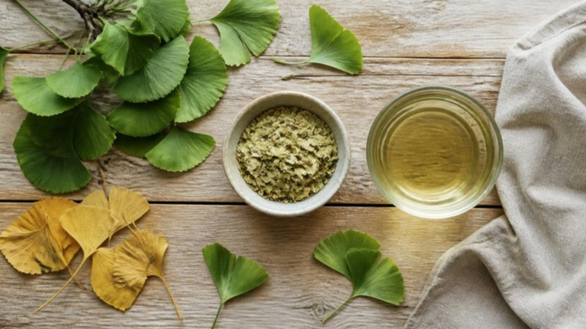 Fächerförmige Ginkgo-Blätter, eine Schale mit getrocknetem Blattpulver und eine Tasse Tee auf einem Holztisch