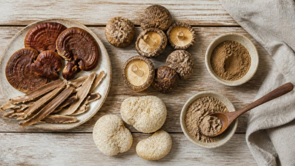 Getrocknete Vitalpilze und Schalen mit Pilzpulver auf einem Holztisch
