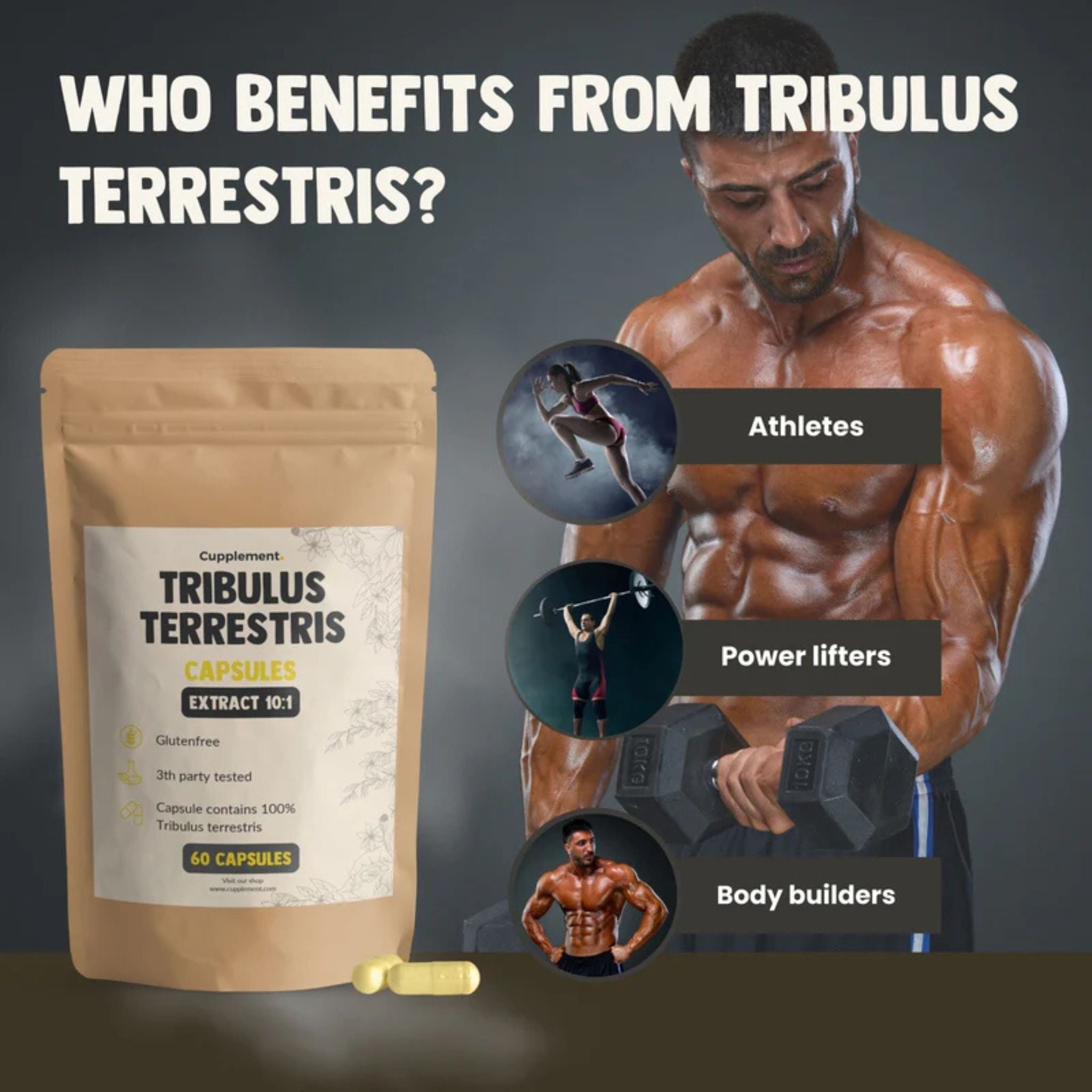 Tribulus Terrestris Extrakt 500mg - 60 Kapseln - Cupplement - Heilpflanze - Kapseln - Leistung - montcalia.ch