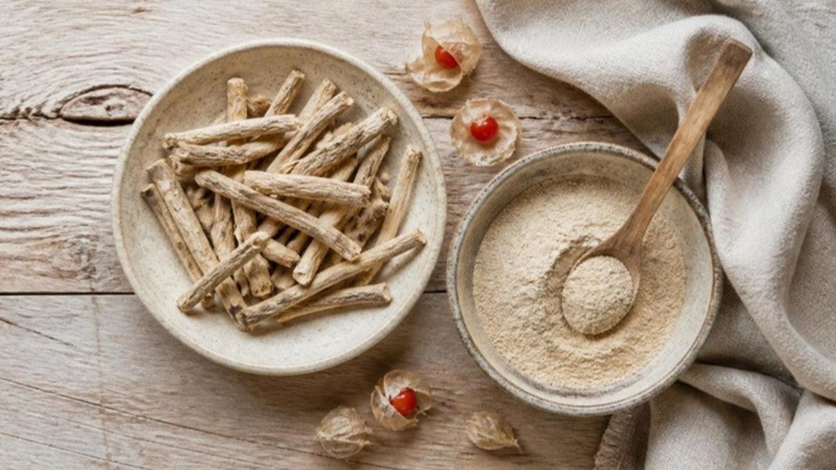 Getrocknete Ashwagandha-Wurzeln neben einer Schale mit hellem Wurzelpulver und kleinen roten Schlafbeeren auf einem Holztisch