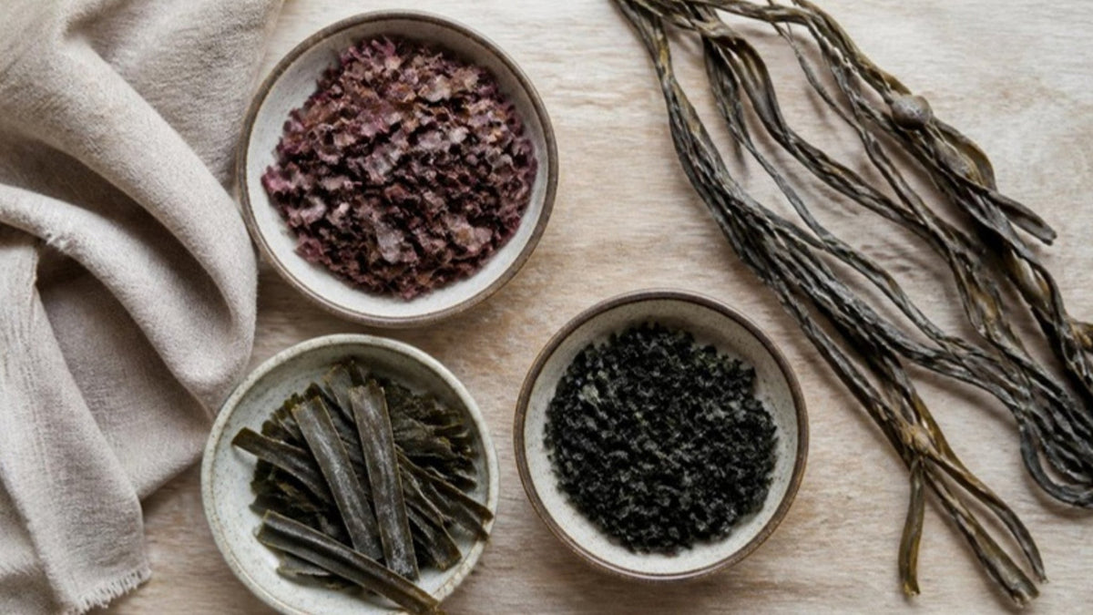 Getrocknete Meeresalgen – Dulse, Kelp und Kraussterntang – in Schalen auf einem Holztisch