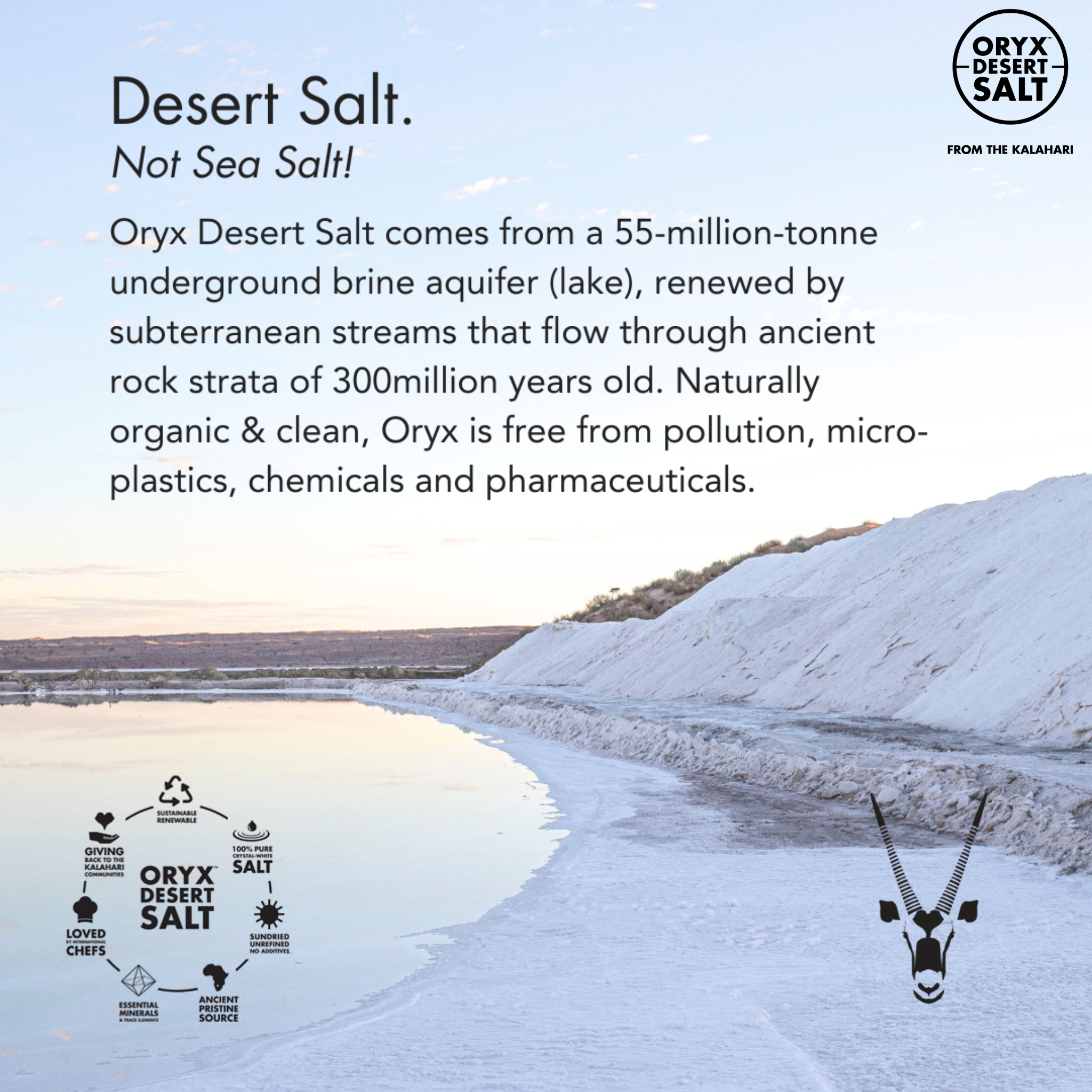 Oryx Desert Salt Premium Wüstensalz Grobe Körnung – 1 kg