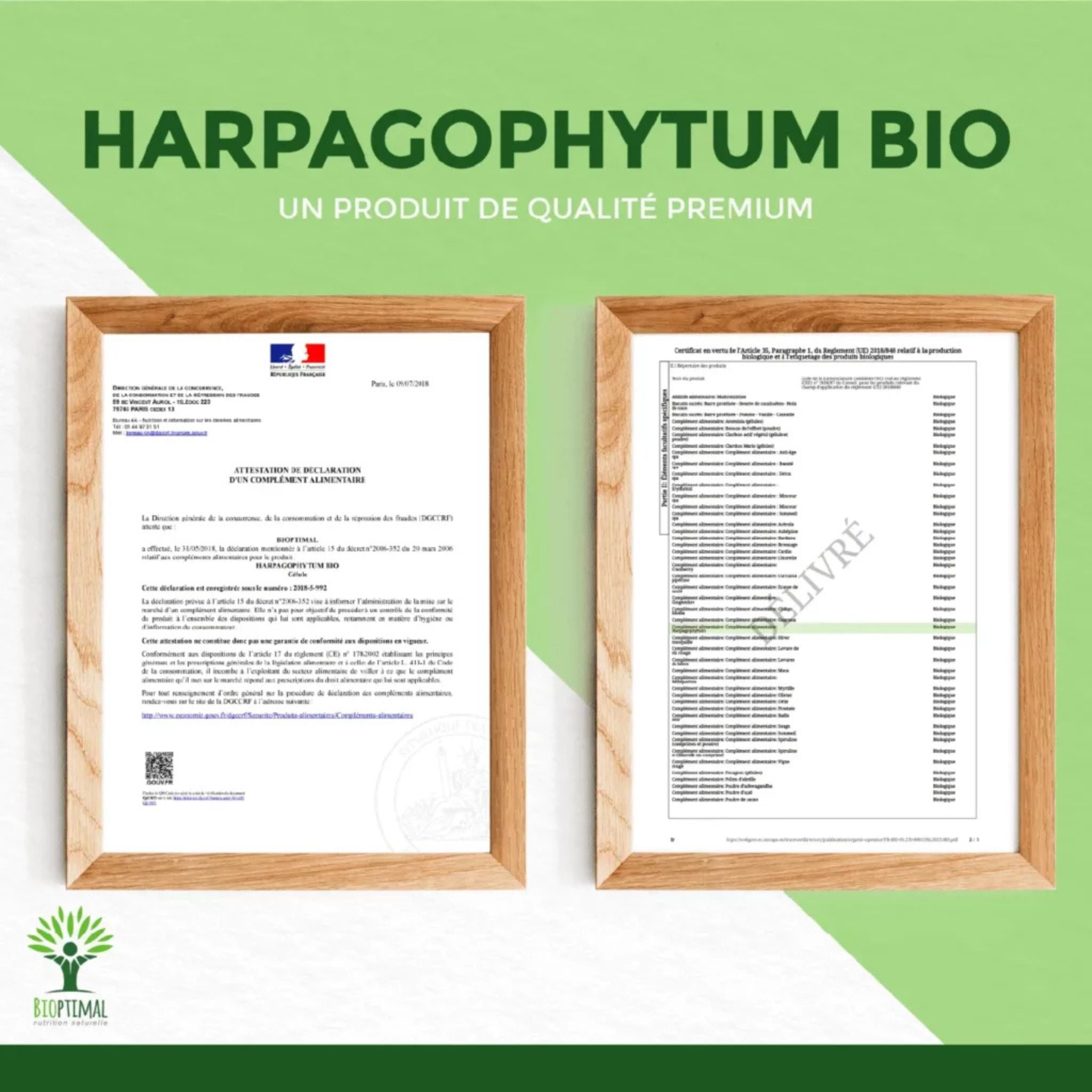 Bio Harpagophytum - 200 Kapseln - Bioptimal - Afrikanische Teufelskralle - Bio - Bioptimal - montcalia.ch