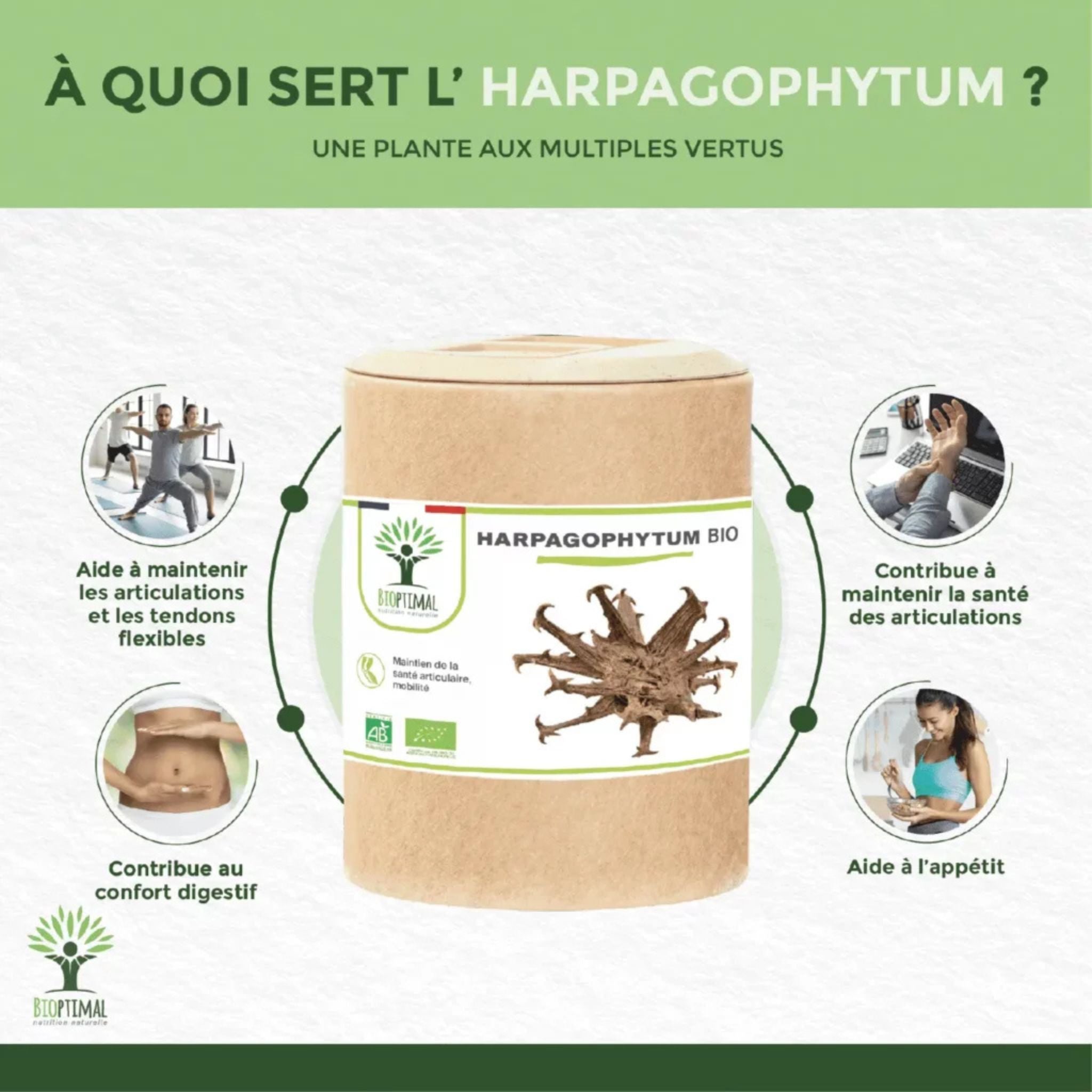 Bio Harpagophytum - 200 Kapseln - Bioptimal - Afrikanische Teufelskralle - Bio - Bioptimal - montcalia.ch