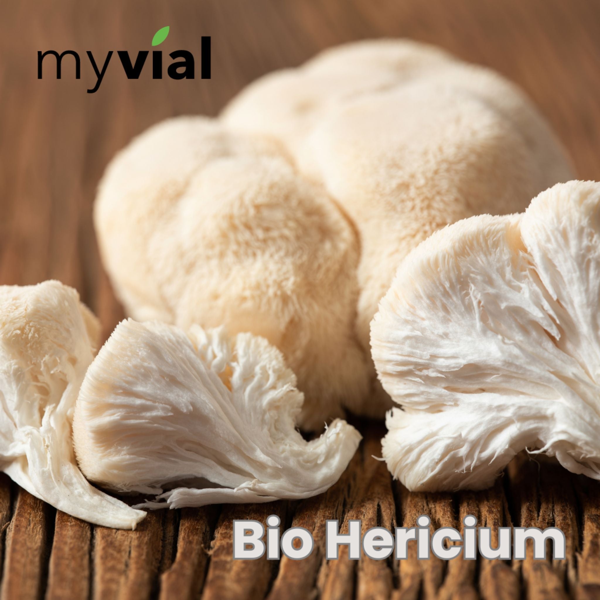 Bio Löwenmähnenpilz Hericium Lions Mane - 120 Kapseln - myvial - Adaptogen - Adaptogene - Affenkopfpilz - montcalia.ch