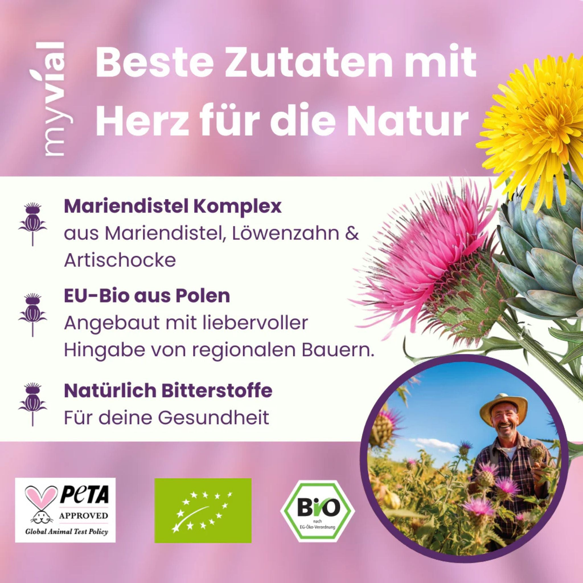 Bio Mariendistel Komplex - 120 Kapseln - myvial - Bio - Entgiftung - EU Bio - montcalia.ch