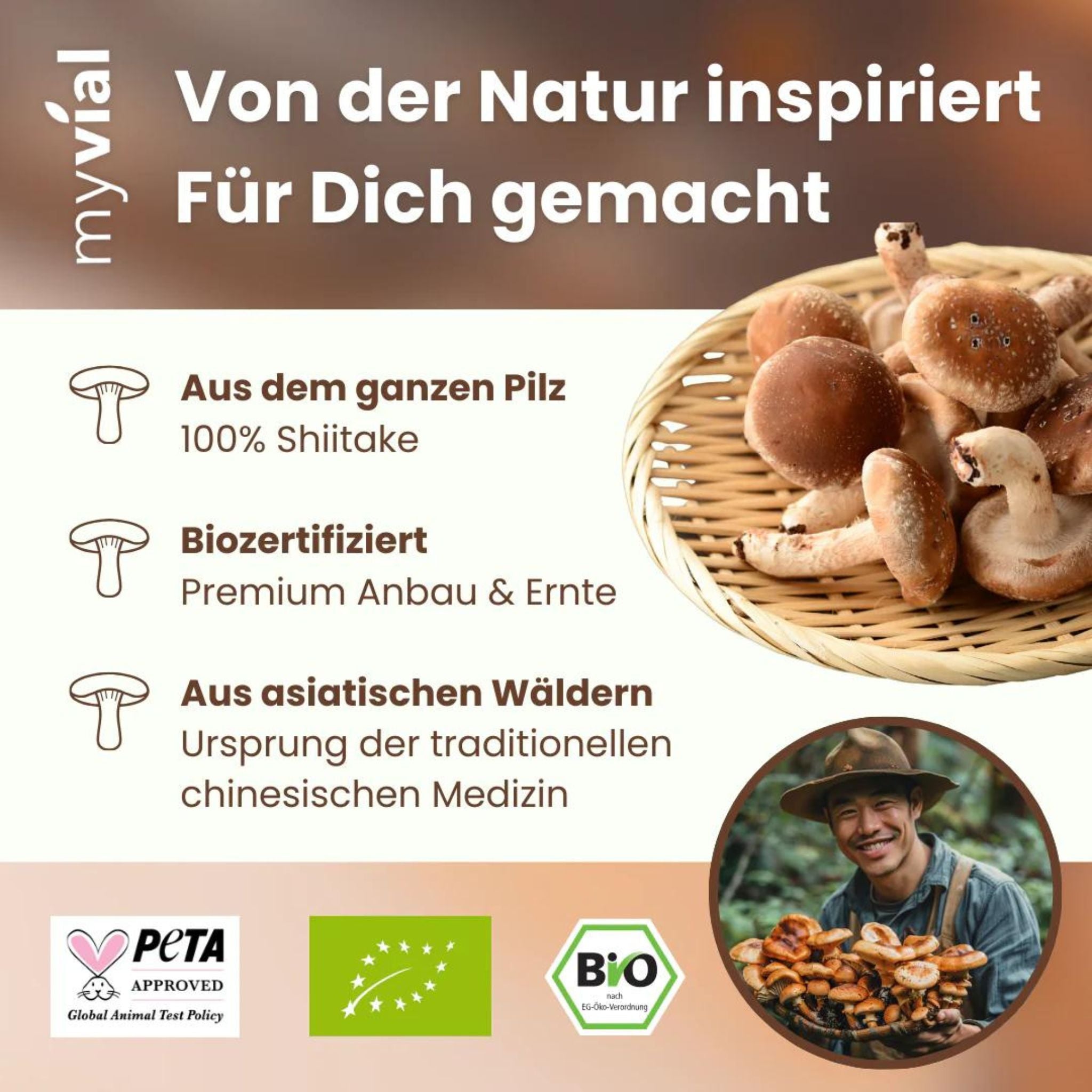 Bio Shiitake - 120 Kapseln - montcalia.ch