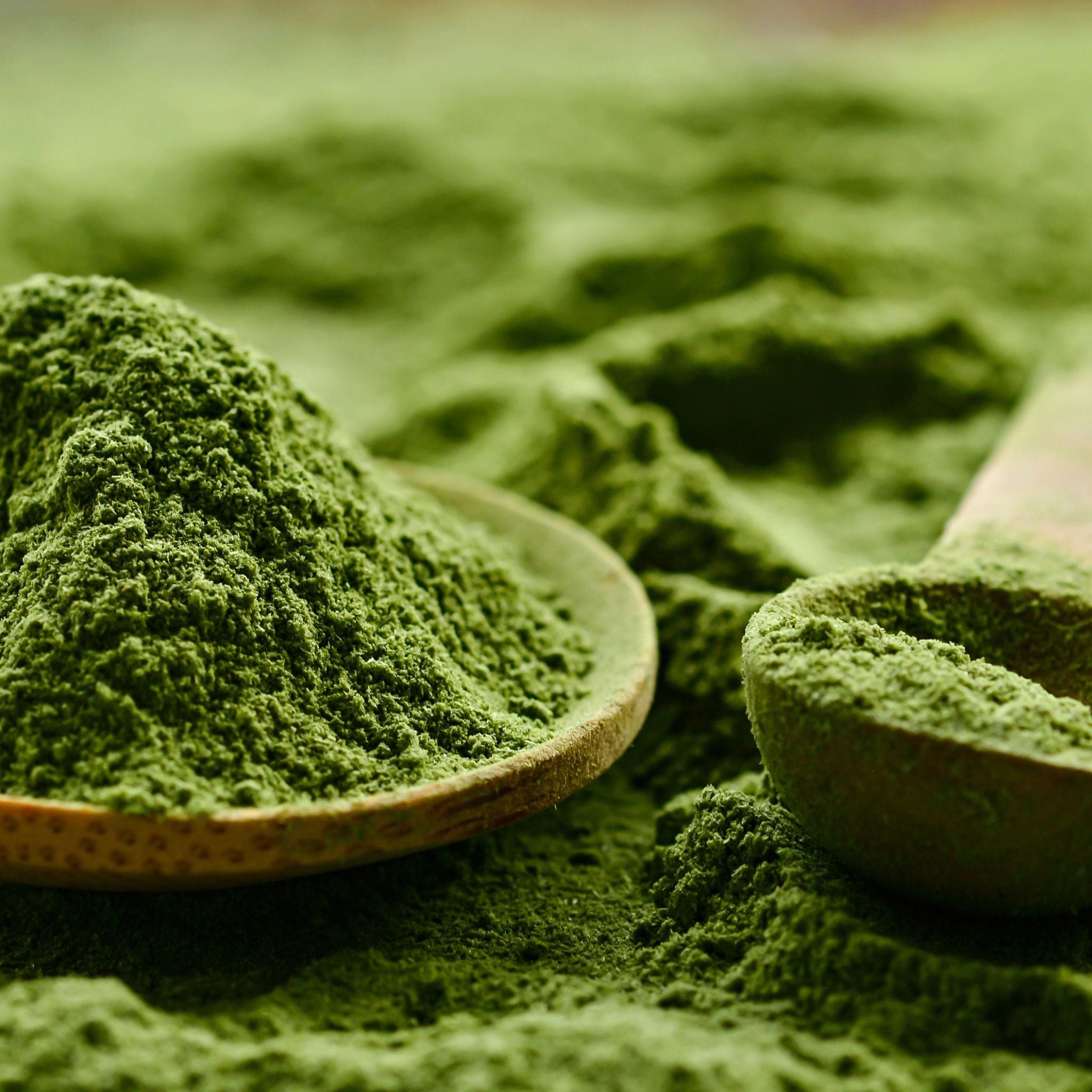 Japanischer Matcha - Tee Bio - 200g Pulver - Bioptimal - Abnehmen - Adaptogen - Adaptogene - montcalia.ch