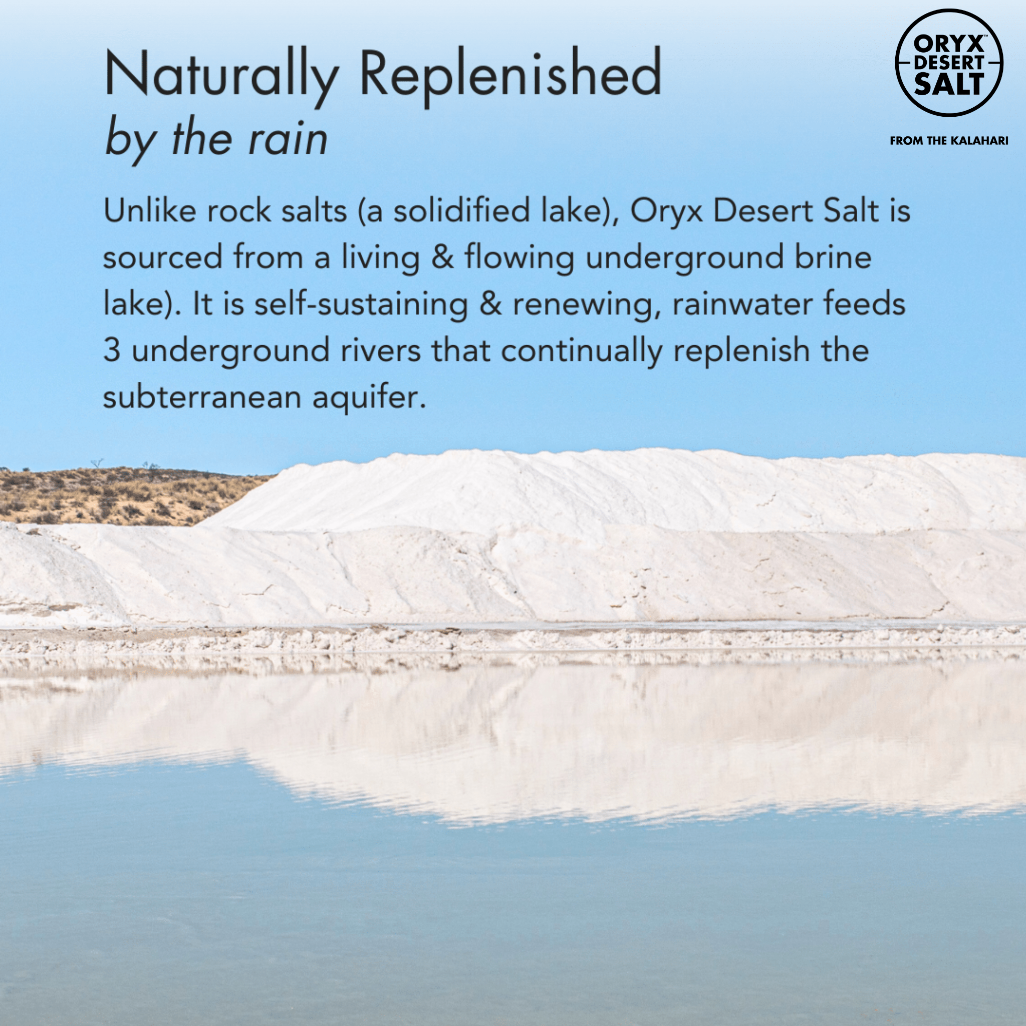 Oryx Desert Salt Premium Wüstensalz Grobe Körnung – 1 kg - ORYX DESERT SALT - Abnehmen - Bretonisches Salz - Celtic Sea Salt - montcalia.ch