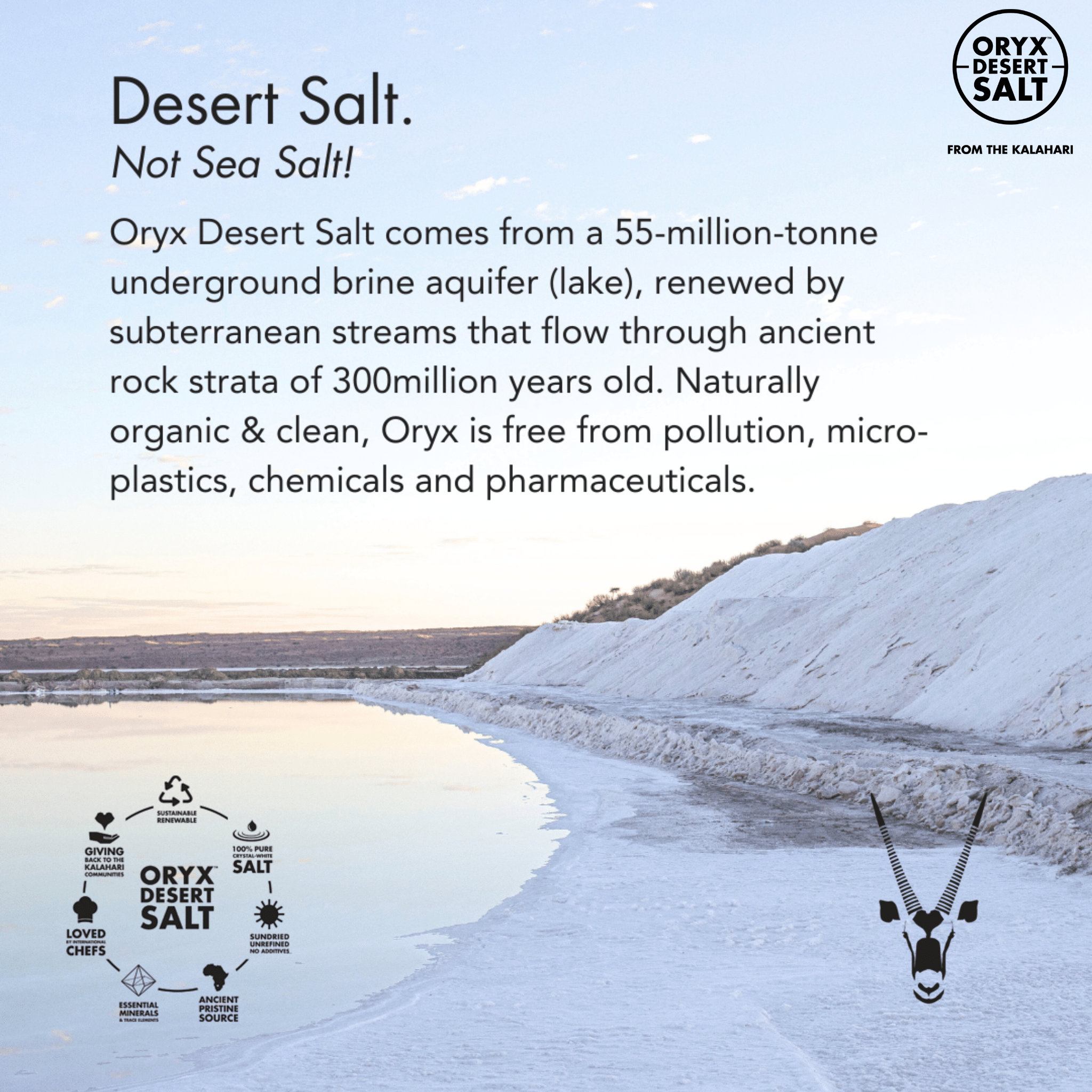 Oryx Desert Salt Premium Wüstensalz Grobe Körnung – 1 kg - ORYX DESERT SALT - Abnehmen - Bretonisches Salz - Celtic Sea Salt - montcalia.ch