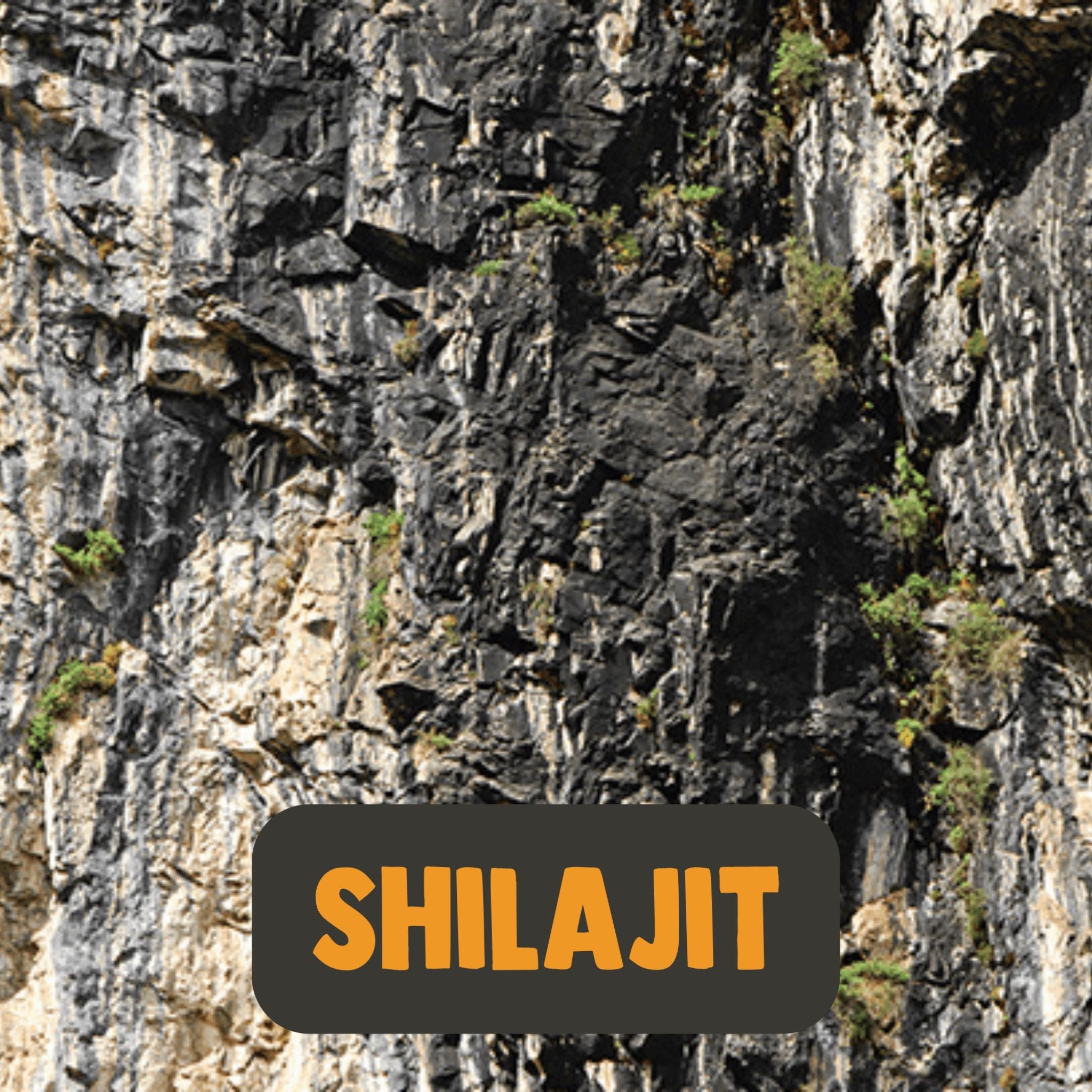 Shilajit Extrakt - 60 Kapseln - montcalia.ch