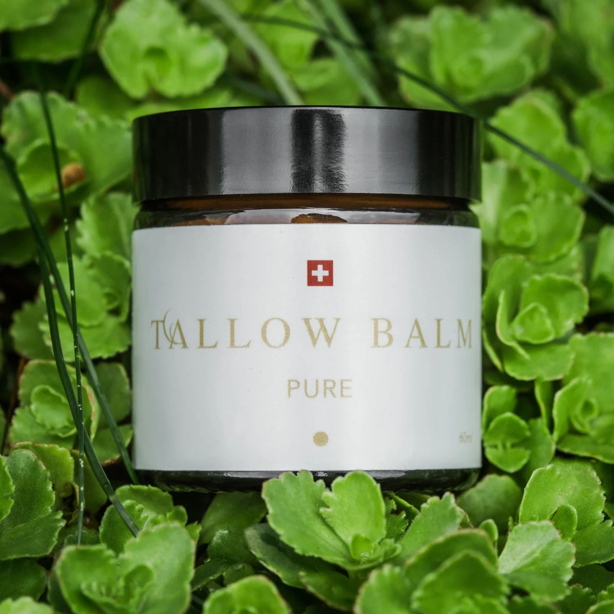 Tallow Hautcreme aus Bio Rindertalg - 60ml - Swiss Tallow - Bio - Bodylotion - Gesichtscreme - montcalia.ch